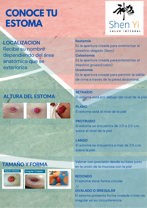Conoce e identifica tu estoma